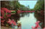 Bellingrath Gardens - Swan on Mirror Lake