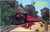 The Skunk train Fort Bragg-Willits