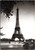 Eiffel Tower rppc