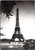 Eiffel Tower rppc