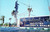 Marine Studios Marineland - Porpoise High Jumps to tip of pole