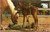 Baby horse - colt/foal  (25-15-378)