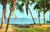 Maracaibo Lake - view through palm trees