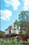 St. Benedict's Catholic Church, Honaunau Kona  (30-18-769)