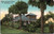 Home among the Palms, St. Petersburg, Fla. (31-19-431)