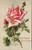 Birthday Greetings - embossed rose  (31-19-421)