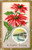 A Happy Xmas - Poinsettia and winter scene inset - Nash 1203