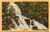 Postcard Great Smokey Mountains  - Laurel Falls
