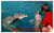 Dolphins Man in red shirt - How things up north Ocean World Ft. Lauderdale