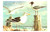 Terns and Gulls by Gene Klebe