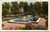 Postcard NY Saratoga Springs Italian Rose Garden City Park