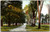 Postcard NY Schenectady Union College - South College Lane