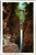 Postcard NY Watkins Glen - Cavern Cascade