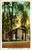 Postcard NY Kingston Old Reformed Protestant Dutch Church