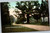 Postcard NY Rhineback Morton's School House Old Oak Tree