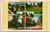 Postcard TN Memphis Parks multiview Forrest Park Court Square Riverside