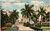 Postcard FL Miami Flagler Street from Bayfront Park