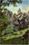 Postcard UT Vernal Brush Creek Gorge