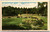 Postcard Canada Nova Scotia Halifax Fountain Public Gardens