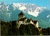 castle vaduz liechtenstein