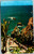 Postcard Mexico Acapulco Panoramic view of the Quebrada