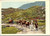 Switzerland - Men in traditional dress leading pack horses up mountain