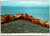 Alaska Walrus Herd on land