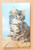 squeaker postcard cats