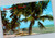 Car on Florida highway with ocean and palm trees