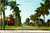 Royal Palms - McGregor Boulevard