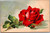 dear sister rose