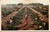 Drying Raisin Grapes in California
