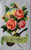That you'll remember me violin with roses on house scene