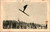 Norway Ski Jumper