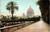 Vatican Gardens and St. Peters Dome