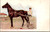 Dan Patch Champion Harness Horse of the World Minneapolis