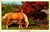 Palomino and friend