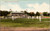 Hamilton Cricket Field - Bermuda