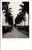 Palm Avenue, St. Croix DWI