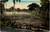 Florida Farm Land Ready for Planting