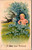 A Boy Just Arrived - blond baby in forget me nots with birds A Boy Just Arrived - blond baby in forget me nots with birds