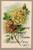 Embossed vintage postcard showing two roses, one yellow and one orange, with silver glitter and caption Valentine Greetings from Edmeston NY