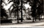 Vintage RPPC of Unadilla Central School in Unadilla New York showing large brick school building among tall trees