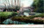 Postcard showing Farnhams Bridge in Richfield Springs New York stone arch bridge over a reflective stream surrounded by trees.