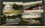 Postcard four views of Colliersville New york