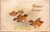 Front of silk Christmas postcard with robins in flight and holiday greeting