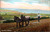 Antique divided back postcard showing horse drawn harrowing in evening farmland