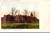 Vintage undivided back postcard showing the Indiana School for Feeble Minded Youth in Fort Wayne Indiana