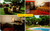 Vintage multi view postcard of Hosteria Las Quintas in Cuernavaca Mexico showing rooms garden and swimming pool