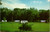Vintage postcard of Snug Harbor Campground in Hagerstown Maryland with travel trailers and picnic tables on grassy lawn